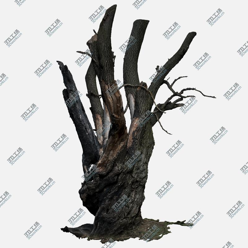 images/goods_img/202105073/Tree charred trunk willow/4.jpg